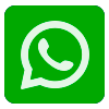 +54 9 1136560291